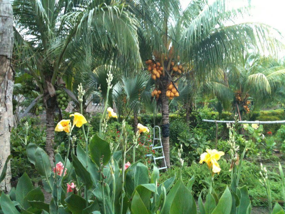 El Mirador Ecologico, Ometepe Hotel Altagracia Kültér fotó